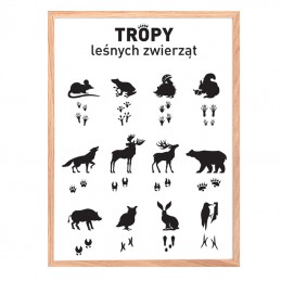 Image LESNÍCH ZVÍŘAT STOPY